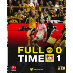 Le Borussia Dortmund s'est incliné 0-1 à domicile face au Bayer Leverkusen.